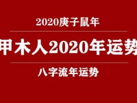 甲木(日柱)人2020庚子年运势