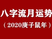 [专题]2020年八字流月运势(庚子鼠年)