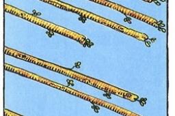 塔罗牌权杖八正位事业财运发展如何？权杖八正位事业财富结果