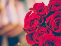 [专题]2020年结婚吉日一览表