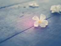 2020年东北方位风水及化解(桃花位)