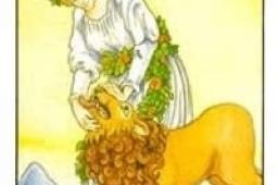 塔罗牌力量正位事业财运发展如何？力量正位事业财富结果