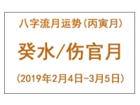 2019年丙寅月癸水运势：伤官月带来头脑清晰与工作好运