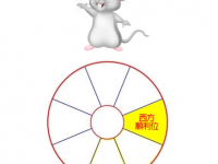 2020年风水布局指南：西方副财位与金蟾催财秘法