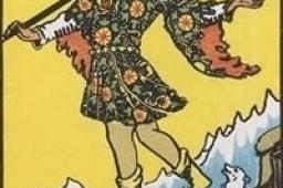 愚者正位事业财运发展解读：高风险投资机会的双面性分析