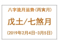 戊土命2019年丙寅月运势解析，偏印七煞月的能量转换指南