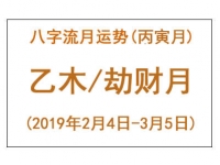 2019年丙寅月乙木运势详解：伤官劫财月的应对策略