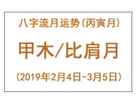 2019年丙寅月甲木运势详解：食神比肩月的休养生息与挑战应对