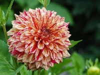 家里如何摆设对偏财运风水更有利