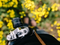 2018年庚申月风水格局与煞气分布解析