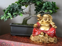 2019年五行风水布局指南 个人命理运势调和