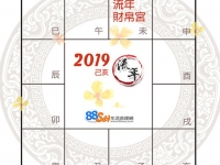 己亥流年未宫星曜解析：财运走向与应对策略