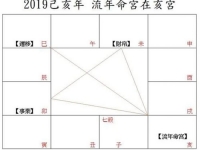 己亥年紫微运势解析：无妄卦警示与财务管理