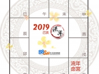 已亥流年运势解读：亥宫星曜影响分析