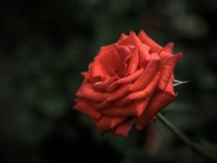 风水流派争议与实证探索