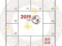 紫微斗数2019己亥流年运势分析及应对策略