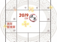 2019年紫微斗数看官禄运与事业运势解析