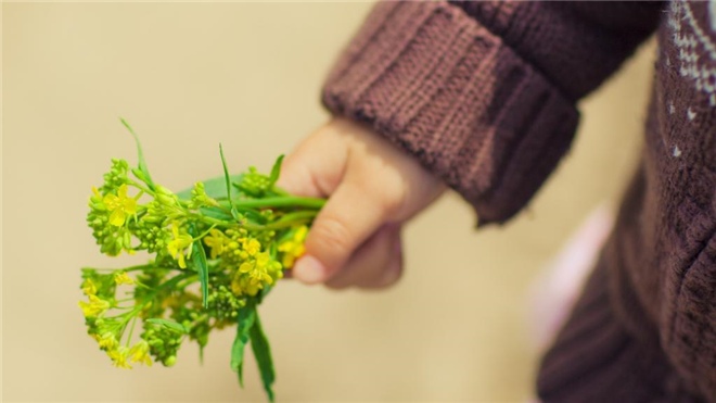 星座念旧情易陷被渣风险 情感执着需学会放手