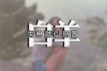 文章详情图片