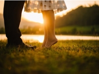 酉时出生人的性格命运解析 深藏玄机的传统命理揭秘