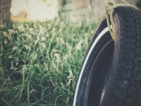 丑时出生者性格命运解析：福禄余、末运好