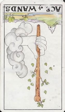 权杖首牌逆位他想复合吗？权杖一逆位复合有望吗？