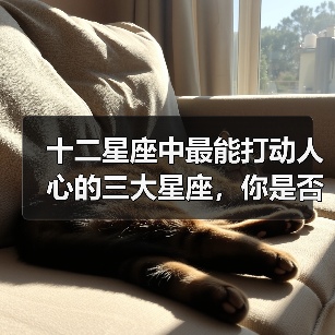 十二星座中最能打动人心的三大星座，你是否有缘遇见TA？