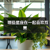 哪些星座在一起喜欢互黑 哪些星座在一起喜欢互黑
