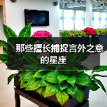 那些擅长捕捉言外之意的星座