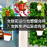 女祭司逆位他想复合吗？女教皇逆位复合有望吗？（图4）