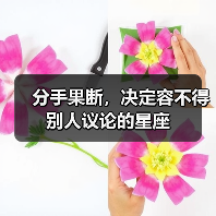 分手果断，决定容不得别人议论的星座（图3）
