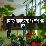 智商情商双绝的三个星座（图4）