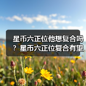 星币六正位他想复合吗？星币六正位复合有望吗？（图4）