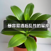 最容易酒后乱性的星座（图4）