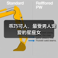 乖巧可人，最受男人宠爱的星座女（图2）