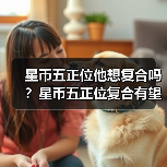 星币五正位解析：复合可能性与情感信号