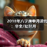2018年八字庚申月运势:辛金/劫财月(图4) 2018年八字庚申月运势:辛金/劫财月(图4)