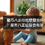 星币八正位他想复合吗?星币八正位复合有望吗?(图4) 星币八正位他想复合吗?星币八正位复合有望吗?(图4)