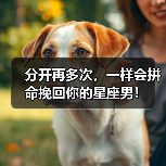 分开再多次,一样会拼命挽回你的星座男!(图1) 分开再多次,一样会拼命挽回你的星座男!(图1)