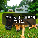 情人节，十二星座都在忙什么（图2）