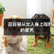 最容易从女人身上得财的星男(图4) 最容易从女人身上得财的星男(图4)
