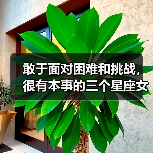 敢于面对困难和挑战,很有本事的三个星座女(图4) 敢于面对困难和挑战,很有本事的三个星座女(图4)
