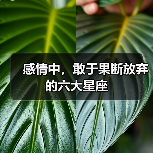 感情中，敢于果断放弃的六大星座（图4）