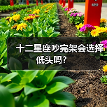 十二星座吵完架会选择低头吗?(图2) 十二星座吵完架会选择低头吗?(图2)