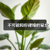 不可能和你裸婚的星女（图2）
