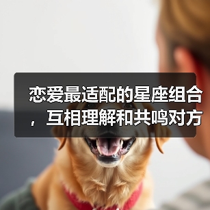 恋爱最适配的星座组合,互相理解和共鸣对方(图2) 恋爱最适配的星座组合,互相理解和共鸣对方(图2)
