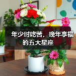 年少时吃苦,晚年享福的五大星座(图4) 年少时吃苦,晚年享福的五大星座(图4)