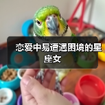 恋爱中易遭遇困境的星座女(图2) 恋爱中易遭遇困境的星座女(图2)