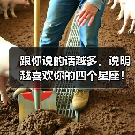 跟你说的话越多，说明越喜欢你的四个星座！（图3）