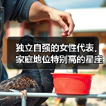 独立自强的女性代表，家庭地位特别高的星座女（图1）